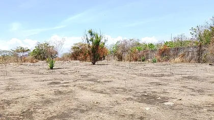 Terreno en Zona Industrial El Tigre, Guacara - Carretera nacional Guacara - San Juaquin — USD 40.000