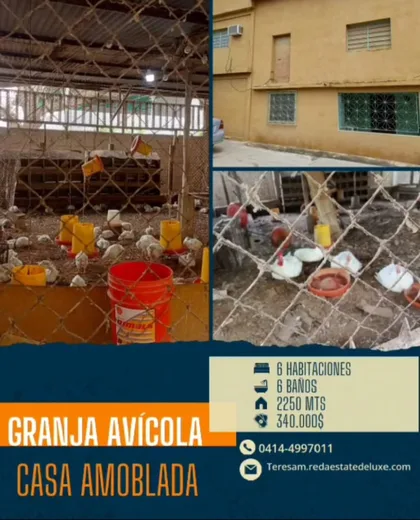 Terreno en Tocuyito, Municipio Libertador — USD 340.000