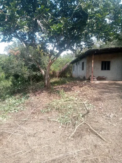 Terreno en Municipio Libertador - Tocuyito. Edo Carabobo. Asentamiento campesino palmar batatal, El Hoyo — USD 13.000
