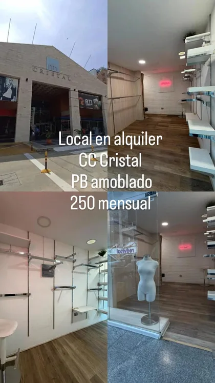 Local en Centro Comercial Cristal — USD 250