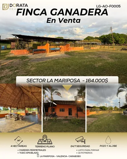 Finca en La Mariposa, Valencia — USD 164.000