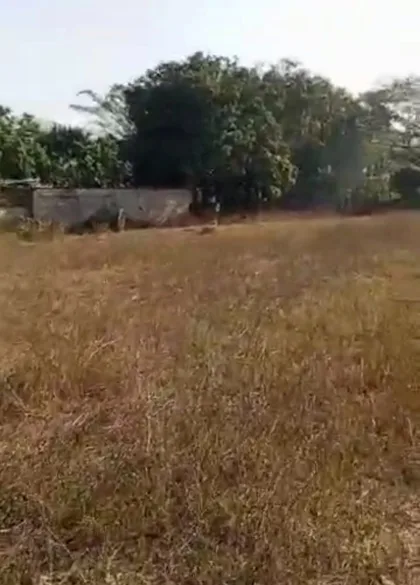 Terreno en Vía Vigirima Guacara — USD 38.000
